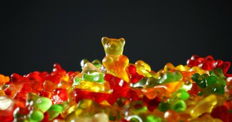 gold-bear-318359_1920_0